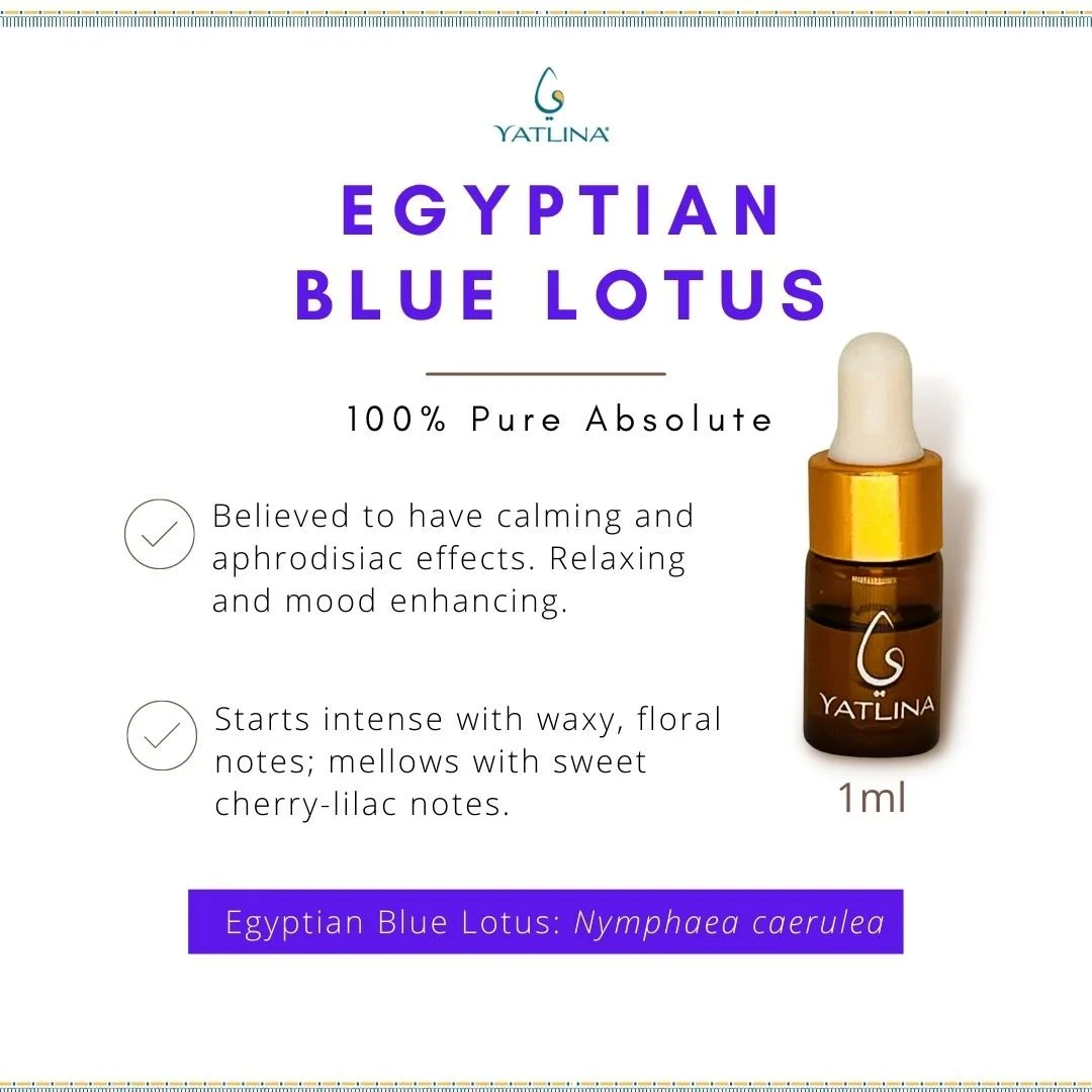 Yatlina Aromatheraphy by Yasmine ElGhamrawy
